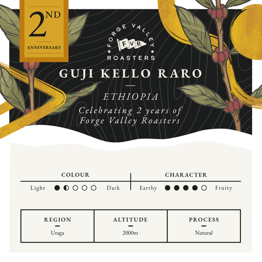 Ethiopia Guji Kello Raro 2nd Birthday Edition