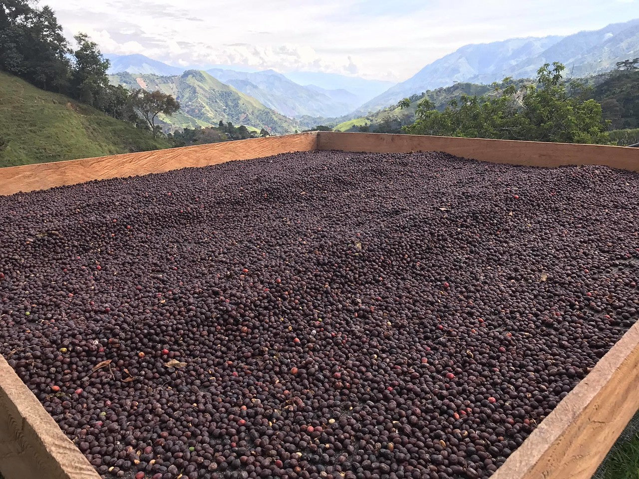 Colombia Chapata