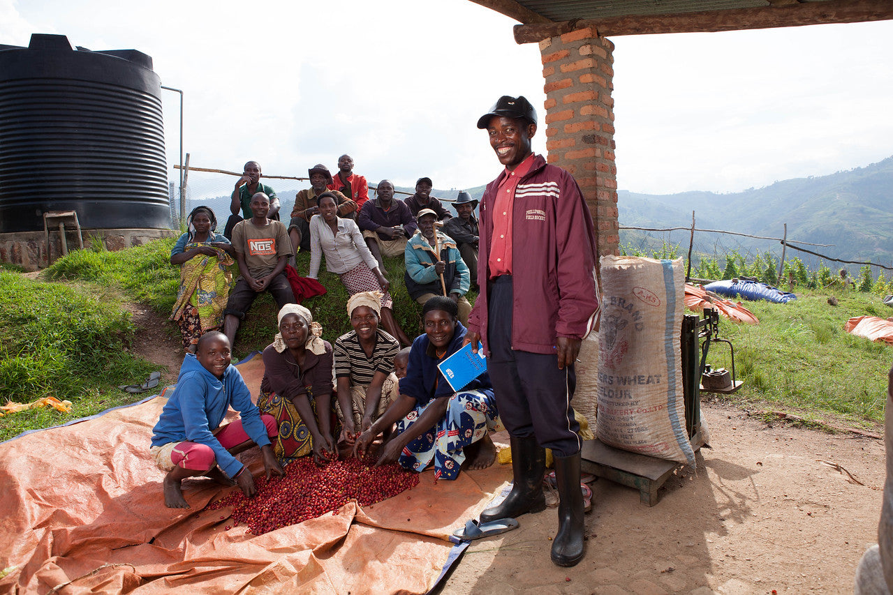 Gitwe 275: Honey-Processed Rwandan Coffee | Scarborough – Forge Valley ...