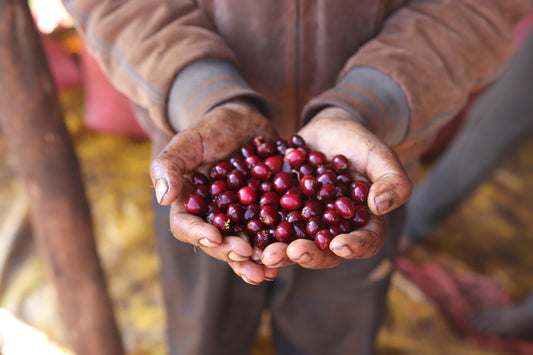 Hinderwell Blend #1.0