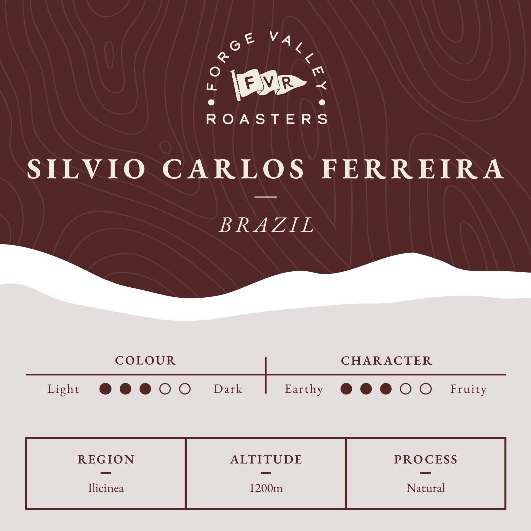 Single Origin: Brazil Silvio Carlos Ferreira