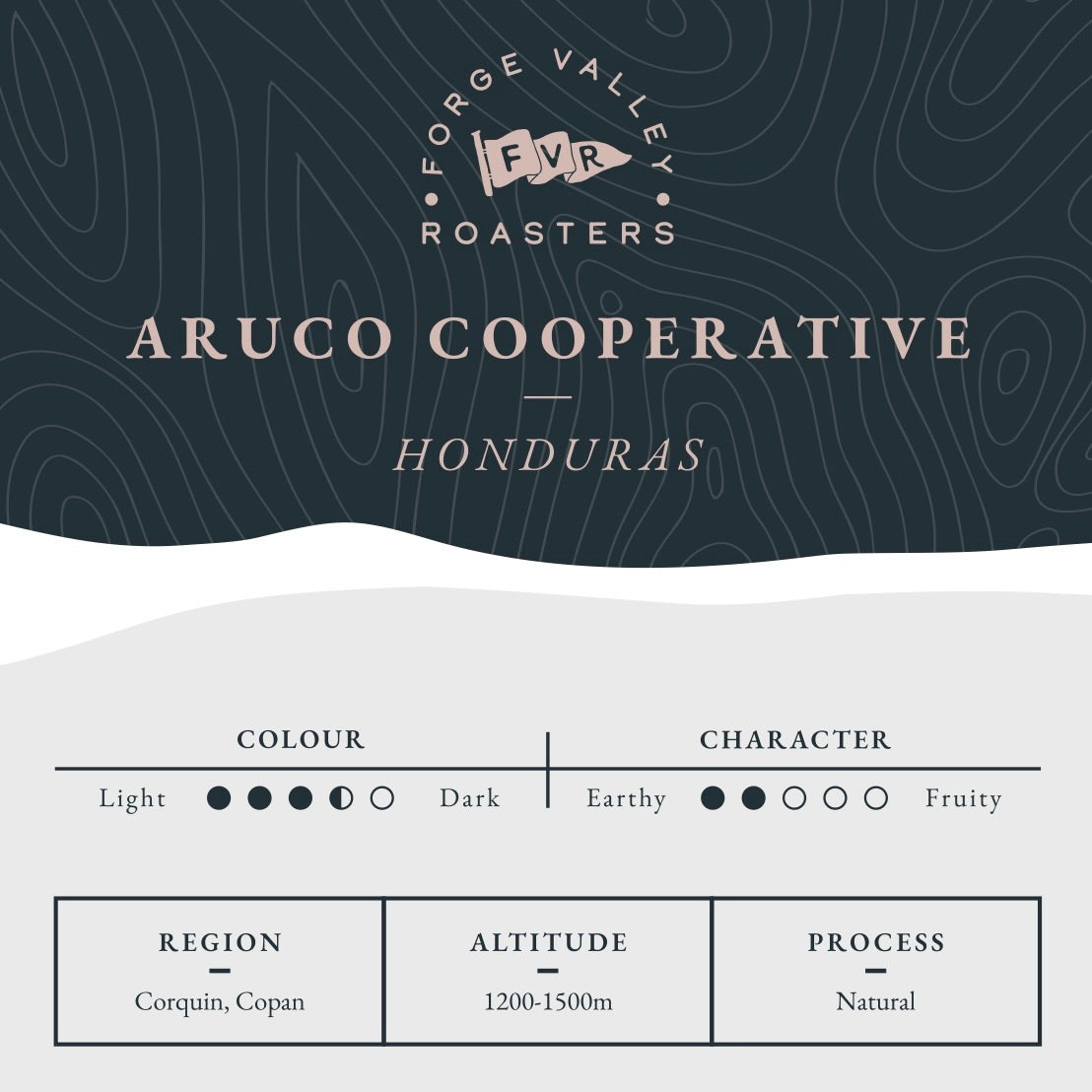 Single Origin: Honduras Aruco Cooperative