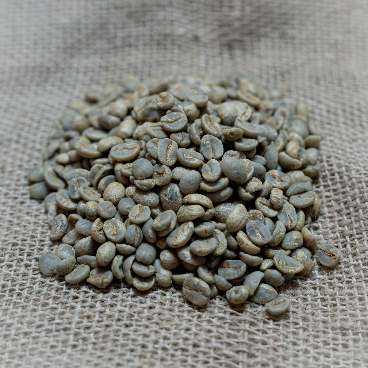 Single Origin: Brazil Antonio José Menezes