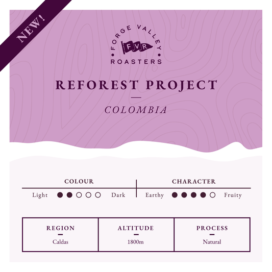 Colombia Reforest Project