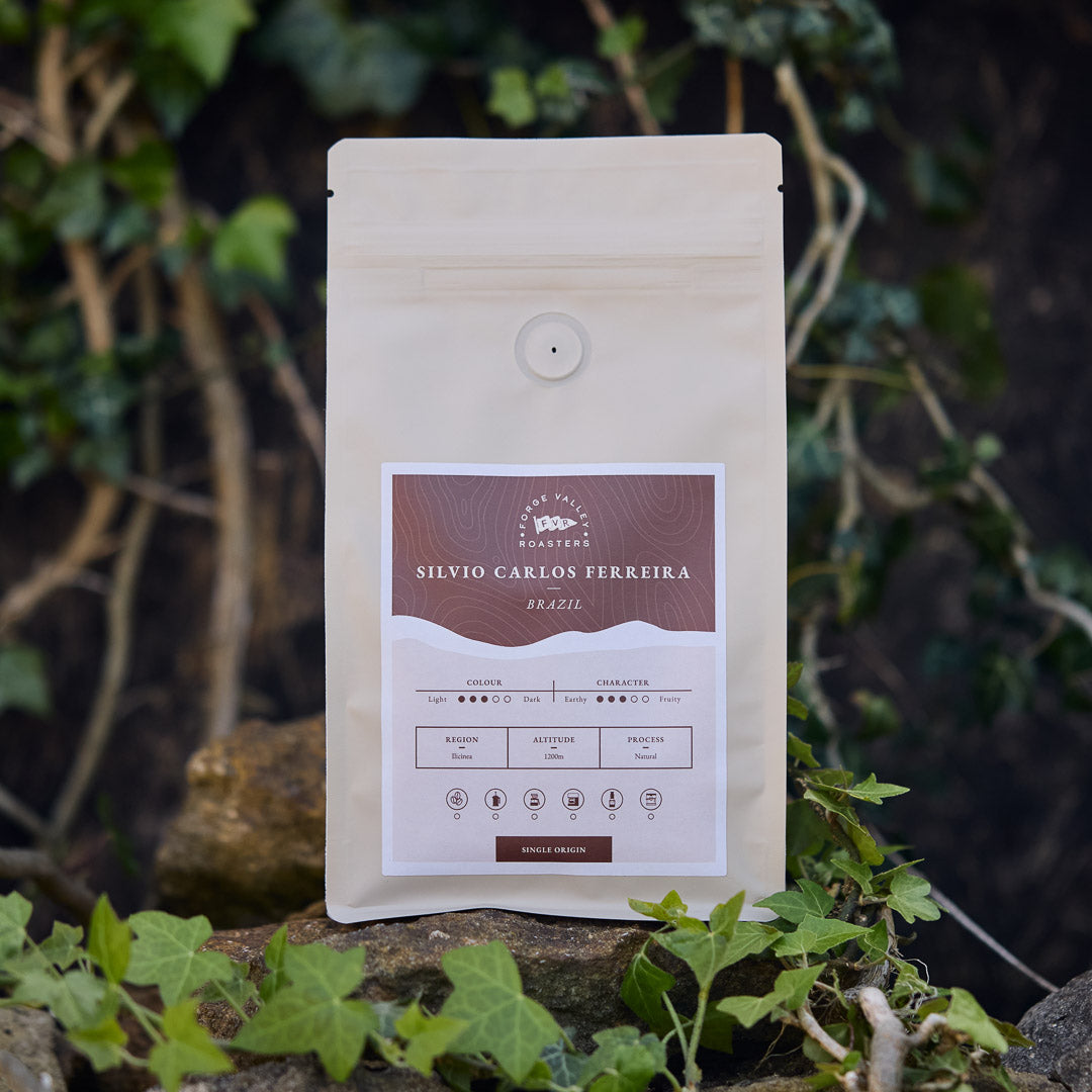 Single Origin: Brazil Silvio Carlos Ferreira