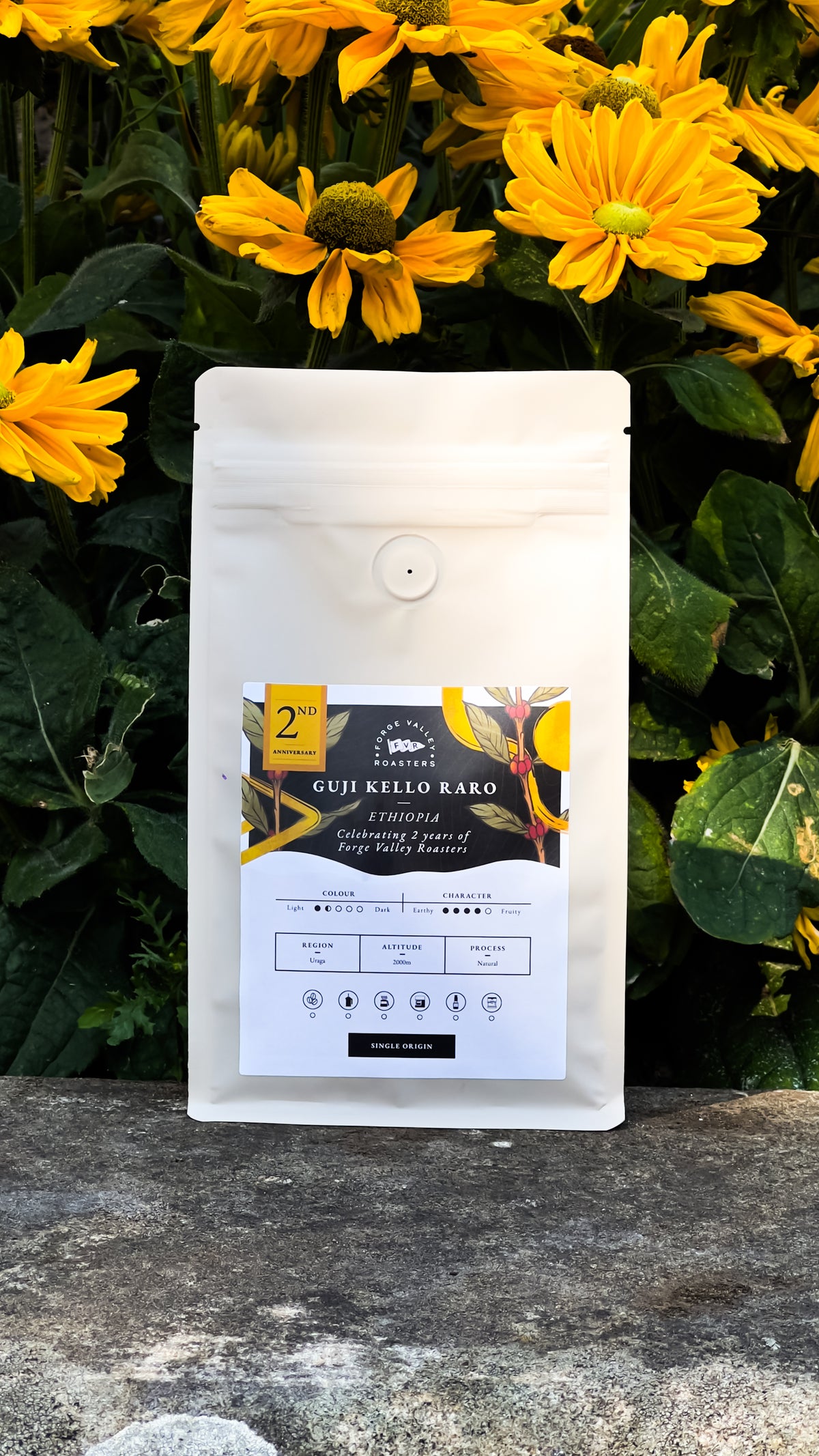 Single Origin: Ethiopia Guji Kello Raro 2nd Birthday Edition