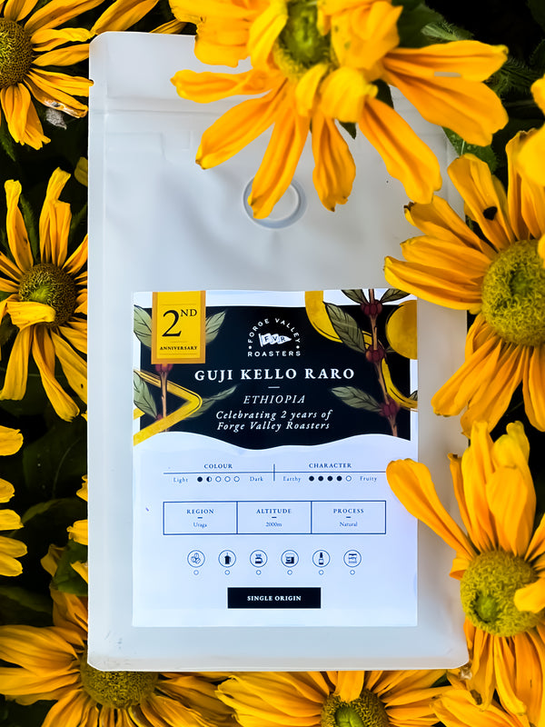 Single Origin: Ethiopia Guji Kello Raro 2nd Birthday Edition