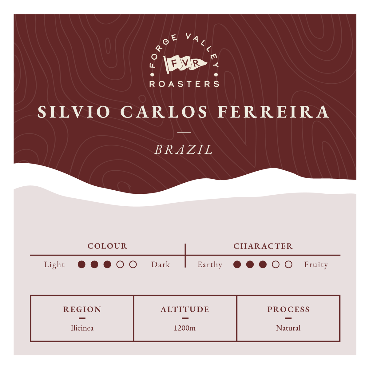 Brazil Silvio Carlos Ferreira