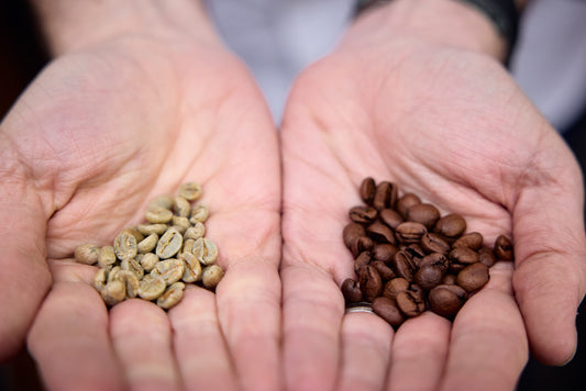 Coffee Roastery Tour